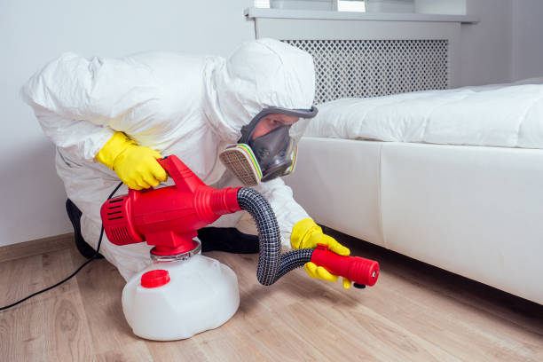 Best Local Pest Control Services  in Battle Creek, MI