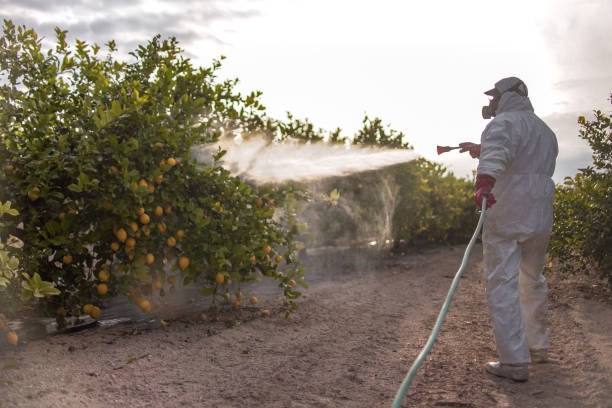 Best Emergency Pest Control  in Battle Creek, MI