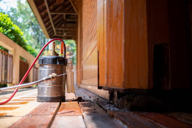 Best Wasp Removal Services  in Battle Creek, MI