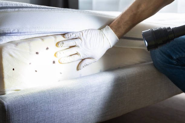 Best Wasp Removal Services  in Battle Creek, MI