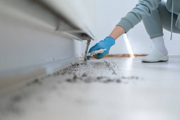 Best Commercial Pest Control Services  in Battle Creek, MI