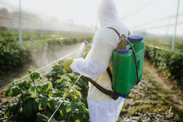 Best Cockroach Control Services  in Battle Creek, MI
